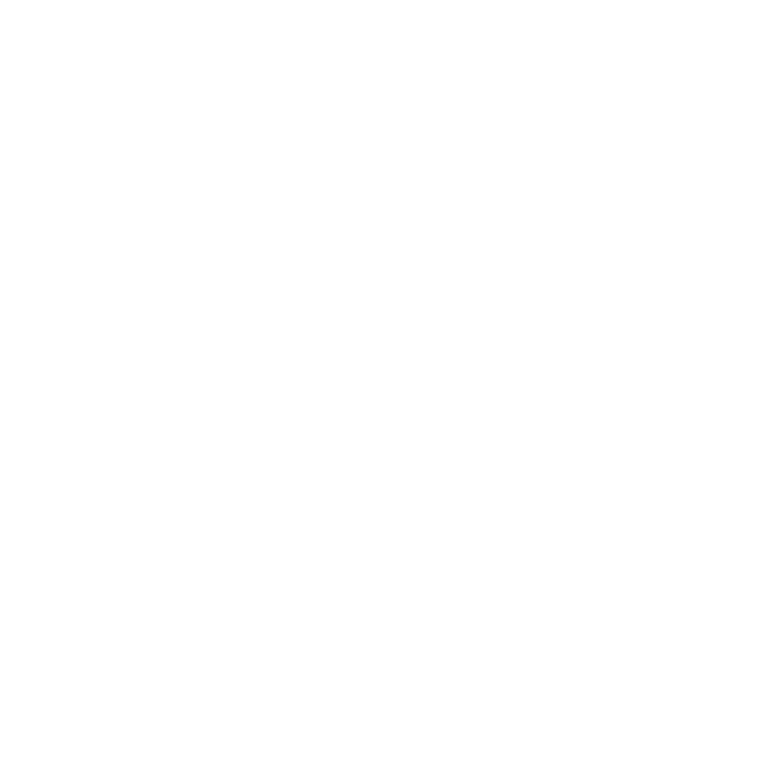 NV Tax & Accounting Services LLC